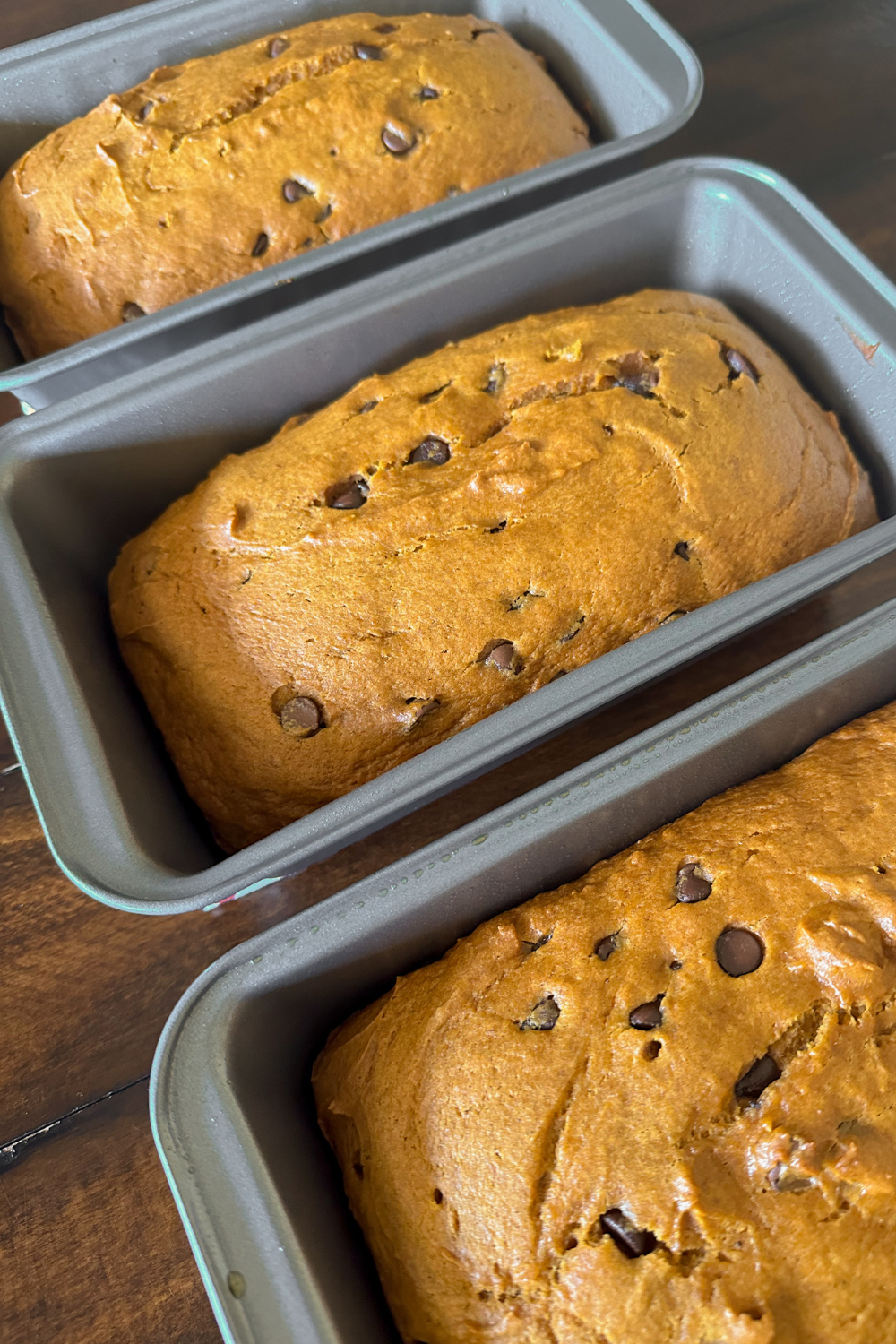 Pumpkin Chocolate Chip Bread Fresh