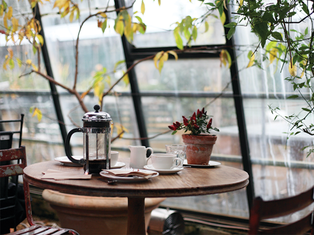 Cozy restaurant table with surrounding greenery and windows.